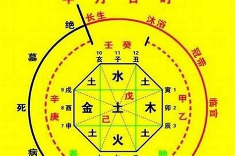 五行忌什么|生辰八字喜用神在线查询